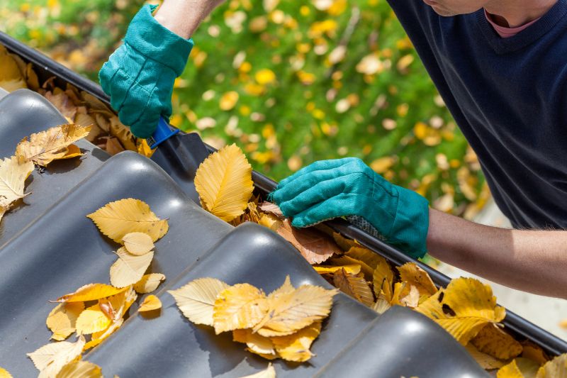 Autumn Leaf Debris Prevention