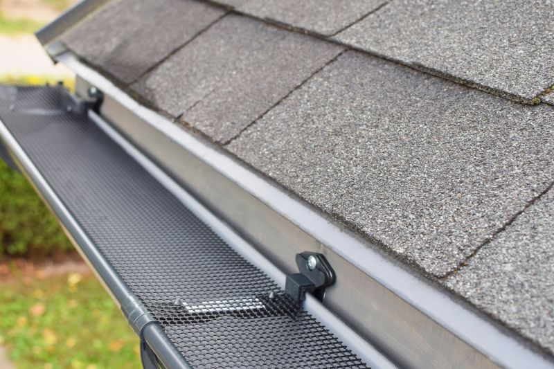 Variety of Gutter Cover Options